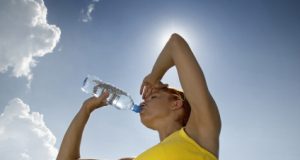 Ngan ngua soi than ghe tham 2