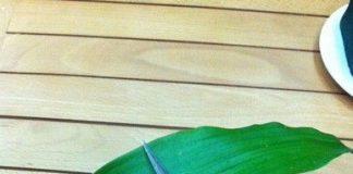 Cách làm hoa hồng từ lá thiết mộc lan ấn tượng