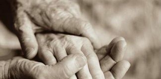 Vợ chồng già và chiếc hộp đựng giày