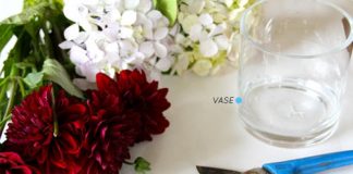 Cách cắm hoa thược dược đơn giản trong cốc thủy tinh