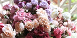 Chọn hướng kinh doanh tốt cho từng ngành