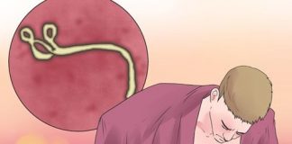 dieu-quan-trong-can-biet-de-ngan-ngua-ebola