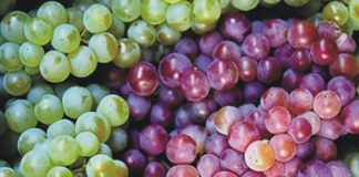 Thực phẩm đánh bại cơn đau