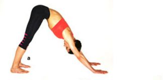 Tập yoga để luôn khỏe mạnh như vận động viên thể thao 1