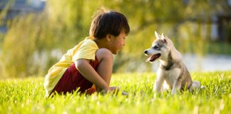 Những căn bệnh đến từ... thú cưng