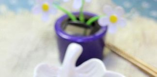 2 món bạch tuộc lạ miệng