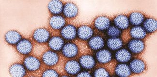  Phụ huynh cần lưu ý