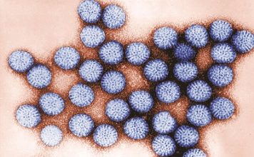  Phụ huynh cần lưu ý