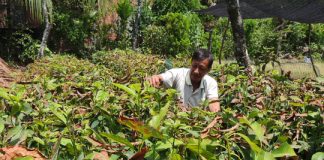 ĐBSCL lâm đại nạn