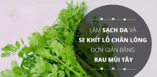 Cách trị ung nhọt bằng rau mùi tây