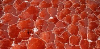 Lạ mắt hồ muối Natron như ghép từ trăm tấm kính đỏ