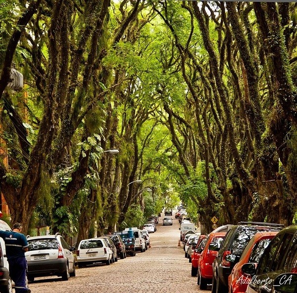 Chiêm ngưỡng con đường cổ tích đẹp ở Brazil