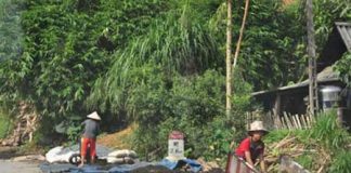 Coi chừng mắc bệnh ung thư, đường ruột vì trà Tết