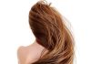 Bí quyết phục hồi mái tóc xơ rối