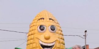 Cảm động bà cụ 90 tuổi từ bỏ chữa bệnh để đi du lịch