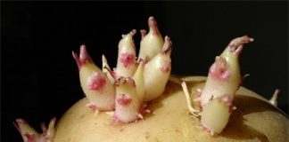 14-loai-thuc-pham-cam-khong-duoc-su-dung