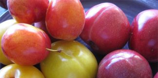 Những lưu ý cần biết khi ăn các loại trái cây mùa hè