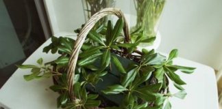 Cách cắm hoa đẹp rực rỡ trang trí nhà đầu xuân