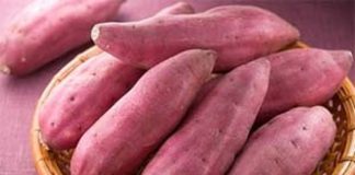 Thực phẩm ngăn ngừa stress