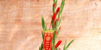 Tổng hợp các kiểu cắm hoa để bàn ngày Tết rước tài lộc vào nhà1