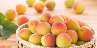 Những lưu ý cần biết khi ăn các loại trái cây mùa hè