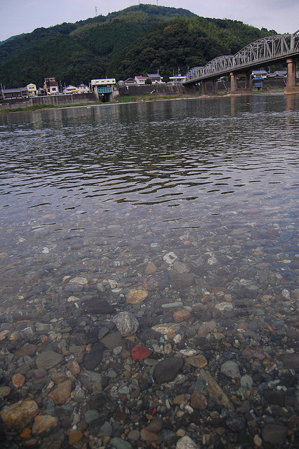Sông nước Niyodo say đắm lòng người