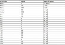 Cách tính tuổi của chó