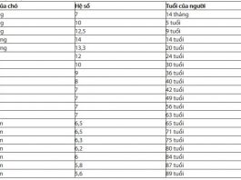 Cách tính tuổi của chó