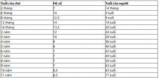Cách tính tuổi của chó