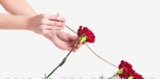 Cách bó hoa hồng hình trái tim ngọt ngào cho Valentine