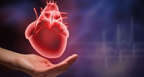 5 dấu hiệu bệnh tim bạn chớ nên bỏ qua