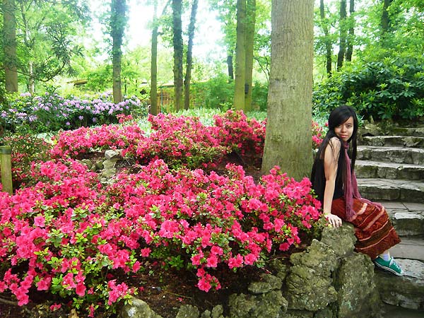 Lạc bước thiên đường hoa Keukenhof, Hà Lan