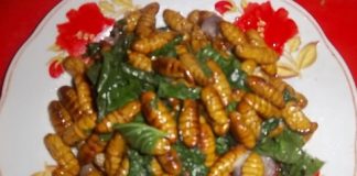 Nhộng tằm xào lá lốt vừa béo vừa thơm