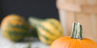 Cách cắm hoa độc đáo với quả bí ngô trang trí ngày Halloween