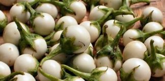 Những người thực sự không nên ăn cà