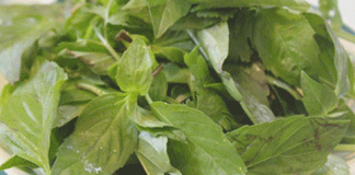 Các loại rau thơm có tác dụng chữa bệnh