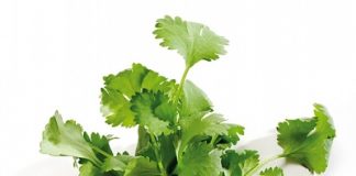 Khắc phục nhược điểm 