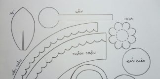 Làm chậu hoa đỏ rực rỡ chào đón năm mới