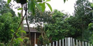 Từ chối nói chuyện, một cô giáo bị đánh trọng thương