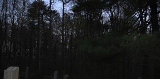 Rợn người những khu rừng bị ma ám  - 1