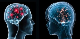 Nghệ thuật âu yếm 'gò bồng đảo' giúp nàng 'lên đỉnh'