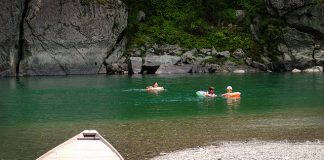 Sông nước Niyodo say đắm lòng người