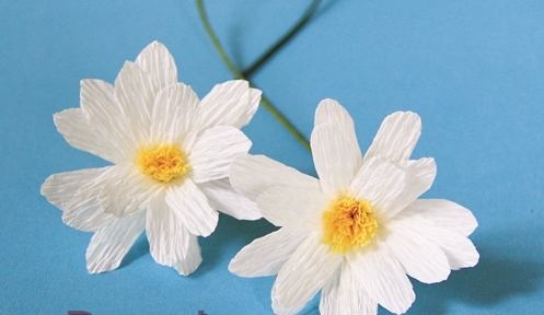 Học cách làm hoa cúc bằng giấy nhún theo phong cách hoang dã