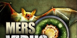 Cảnh báo dịch bệnh toàn cầu từ hội chứng virus MERS