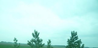 Lạc bước thiên đường hoa Keukenhof, Hà Lan