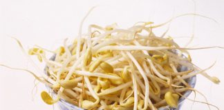 Điều quan trọng khi ăn giá đỗ để không bị rước bệnh