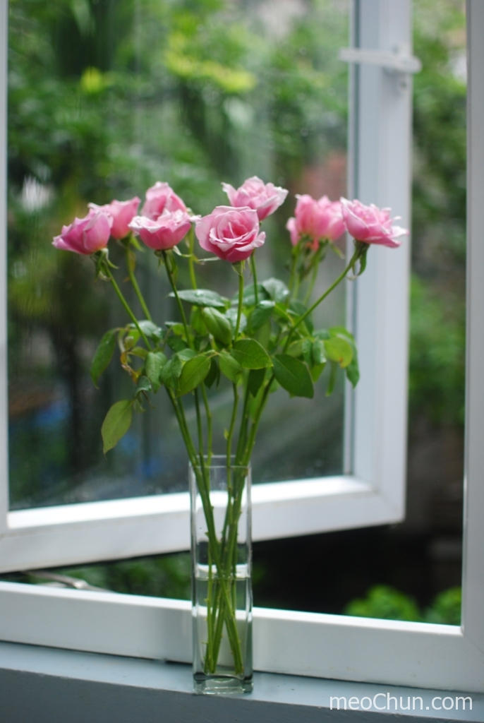 2 cách cắm hoa hồng thơm đẹp nhẹ nhàng - 6