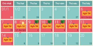 Chính phủ đồng ý nghỉ Tết Bính Thân 9 ngày