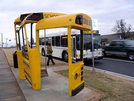 Những bến xe bus chờ lâu cũng không chán