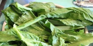 Cách chế biến canh cải ngọt nấu tôm ngon tuyệt